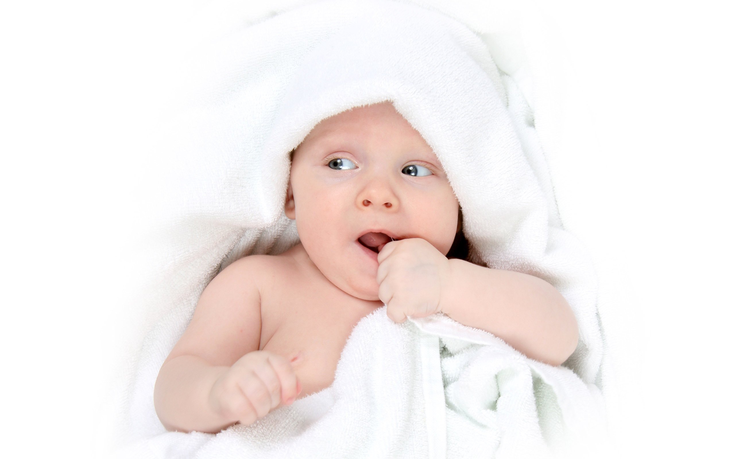 捐卵代怀2015试管婴儿成功率